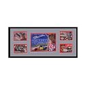 Jeff Gordon Version A Framed Photograph