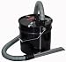 Austin Baccus Company Inc BA-BA Bad Ash Fire Place Cleaner