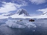 Tourists in firm Inflatable Boat strategy a close off Lying on the actual Ice, Antarctica high quality Photographic Poster printing by Geoff Renner, 40x30