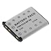 High Capacity Digital Camera Replacement Lithium-Ion Battery for FujiFilm FinePix Z30