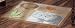 Baby : CoCaLo Sahara Rug
