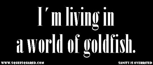 I'm Living in a World of Goldfish Sherlock Bumper Sticker