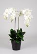 Artificial 28" Double Stem Phalaenopsis Orchid