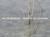 Schoenheit des Vergehens - 
