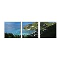 Tortola Island Canvas Wall Art 3-pc. Set - 12x12"