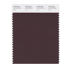 Puce Color Pantone PANTONE Smart 19 1518X Color Swatch Card, Puce