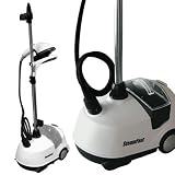 Steam Fast 2-in1 Fabric Steamer & Iron