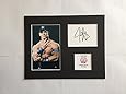 LIMITED EDITION JOHN CENA SIGNED DISPLAY PRINTED AUTOGRAPH BOXING AUTOGRAPH AUTOGRAF AUTOGRAM SIGNIERT SIGNATURE MOUNT FRAME