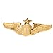 Generic Men's USAF U.S. Air Force Senior Pilot Metal Wing Badge Insignia