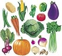 Vegetables Flannel Set: 16 pcs.