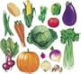 Vegetables - Pre-Cut Flannelboard Figures
