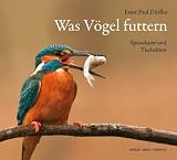 Produkt-Bild: Was V&ouml;gel futtern: Speisekarte und Tischsitten