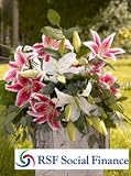 RSF Deluxe Lily Bouquet