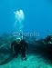 Wallmonkeys Peel and Stick Wall Decals - Shots of Scuba Diving in the Florida Keys - Removable Graphic