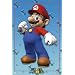 Nintendo (Mario) Art Poster Print - 24" X 36"