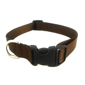 Large Brown Nylon Webbing Dog Collar: 1