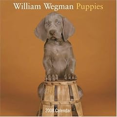 William Wegman Puppies 2008 Wall Calendar
