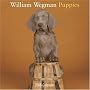 William Wegman Puppies 2008 Wall Calendar