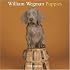 William Wegman Puppies 2008 Wall Calendar
