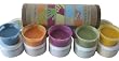 Natural Plant Dye Eco Paint Set