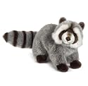 Webkinz Signature ~ Racoon