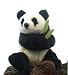 Sitting Panda Bear Cub 12