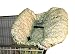 SHOPPING CART AND HIGH CHAIR COVER