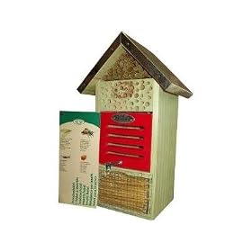 Insect Hotel / Bug Box