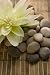 Stones and a Lovely Flower - 18