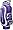 Washington Huskies