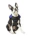 Gooby Padded Vest Dog Jacket - Blue, Large - Warm Zip Up Vest Fleece Jacket with Dual D Ring Leash Water Resistant for Small to Medium Dogs