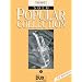 Popular Collection Band 5 f�r Trompete solo mit Bleistift -- 16 weltbekannte popul�re Melodien aus Pop und Filmmusik u.a. mit WE ARE THE WORLD und STAR WARS in klangvollen mittelschweren Arrangements (Noten/sheet music)