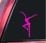 Fire Dancer - Dave Matthews Band Vinyl Decal Sticker - Hot Pink