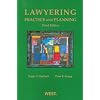 Lawyering: Practice & Planning, 3rd (American Casebook)