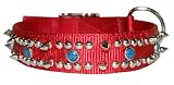 1-1/2 Df Bravo Protector Jewld. & Studded Collars