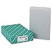 Quality Park Clasp Envelopes, 12 x 15.5 inches, Executive Gray, Box of 100 (38610)
