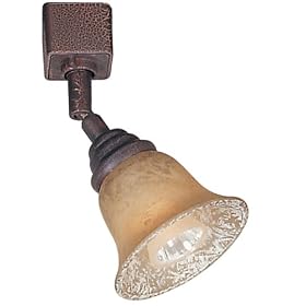World Imports Lighting H2624-24 Olympus Tradition Linear Swivel Track Head, Crackled... by World Imports