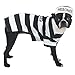 Casual Canine Prison Pooch Costume for Dogs, 16