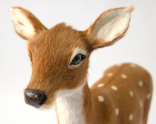 Cover image : リアルな小鹿のオブジェ　BAMBI　【FEMALE】