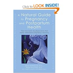 A Natural Guide to Pregnancy and Postpartum Health