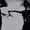 Image of album by Twilight Singers