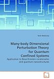 Many-body Dimensional Perturbation Theory for QuantumConfined Systems: Application to Bose-Einstein condensates and quantumnanostructures
