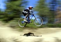 Bike Thief-From Free Kindle Books Library Click to Download Free Kindle Book -> Bike Thief