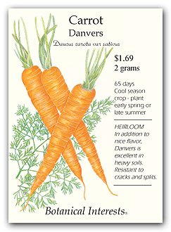 Carrot Danvers Seed