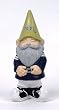 Pittsburgh Panthers Collegiate Garden Gnome [Kitchen]