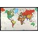 Contemporary World Map - Tyvek Paper