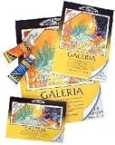 Winsor & Newton Galeria Acrylic Pad