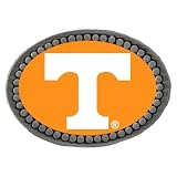 Tennessee Volunteers Logo Lapel Pin (Set of 2)