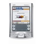 Palm Tungsten