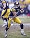 Hines Ward Pittsburgh Steelers 8x10 Photo